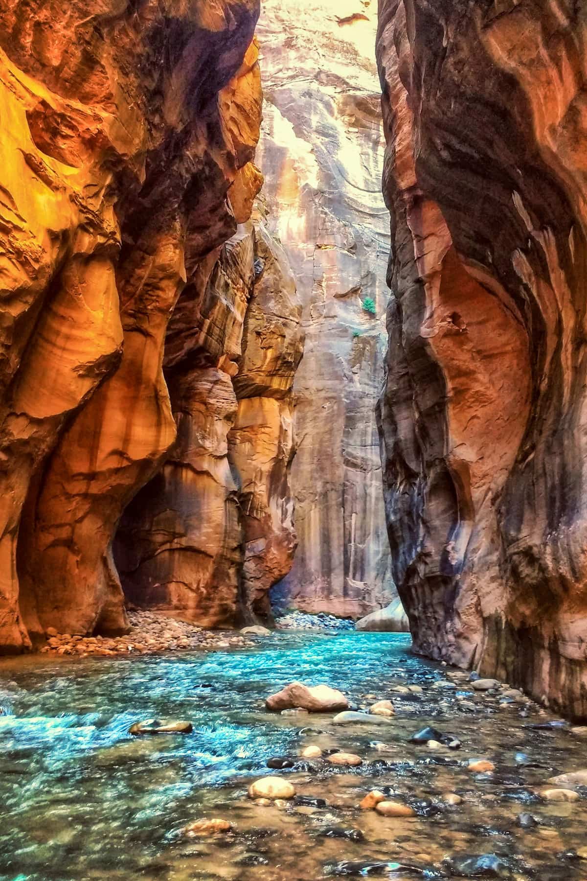 Narrow section of The Narrows in Zion Canyon in Zion National Park