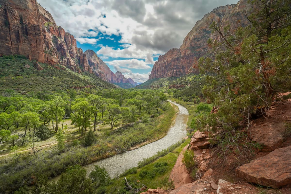 Virgin River snaking through the lush valley floor of Zion Canyon in Zion National Park