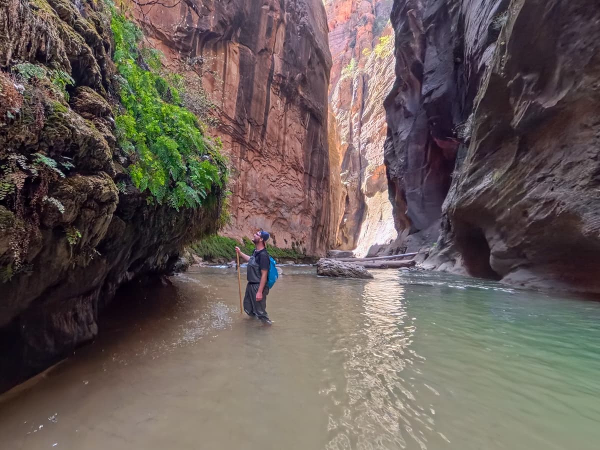 Man standing near a mossy grotto while standing in the Virgin River along The Narrows trail in Zion National Park