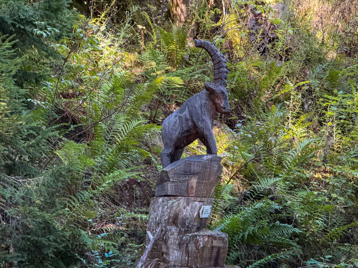 Wooden statue of an ibex in a lush forest near Champex-Lac, Switzerland along the Tour du Mont Blanc