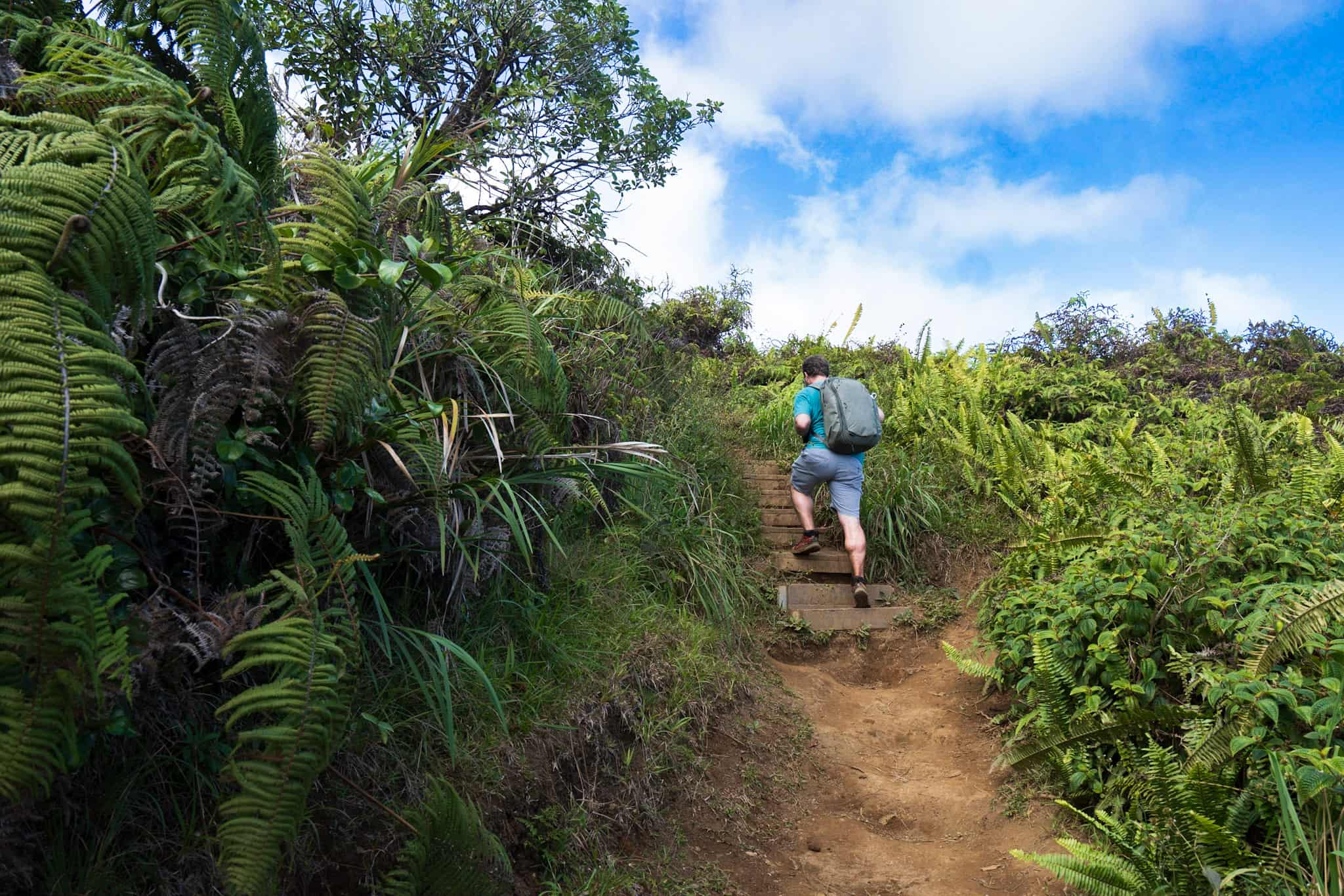 Waihe'e Ridge Trail- Everything You Need To Know About Maui's Best ...