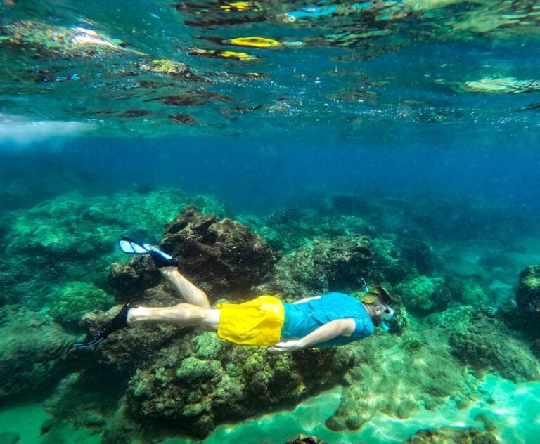 10 Best Waikiki Snorkeling Tours in Honolulu Uprooted Traveler