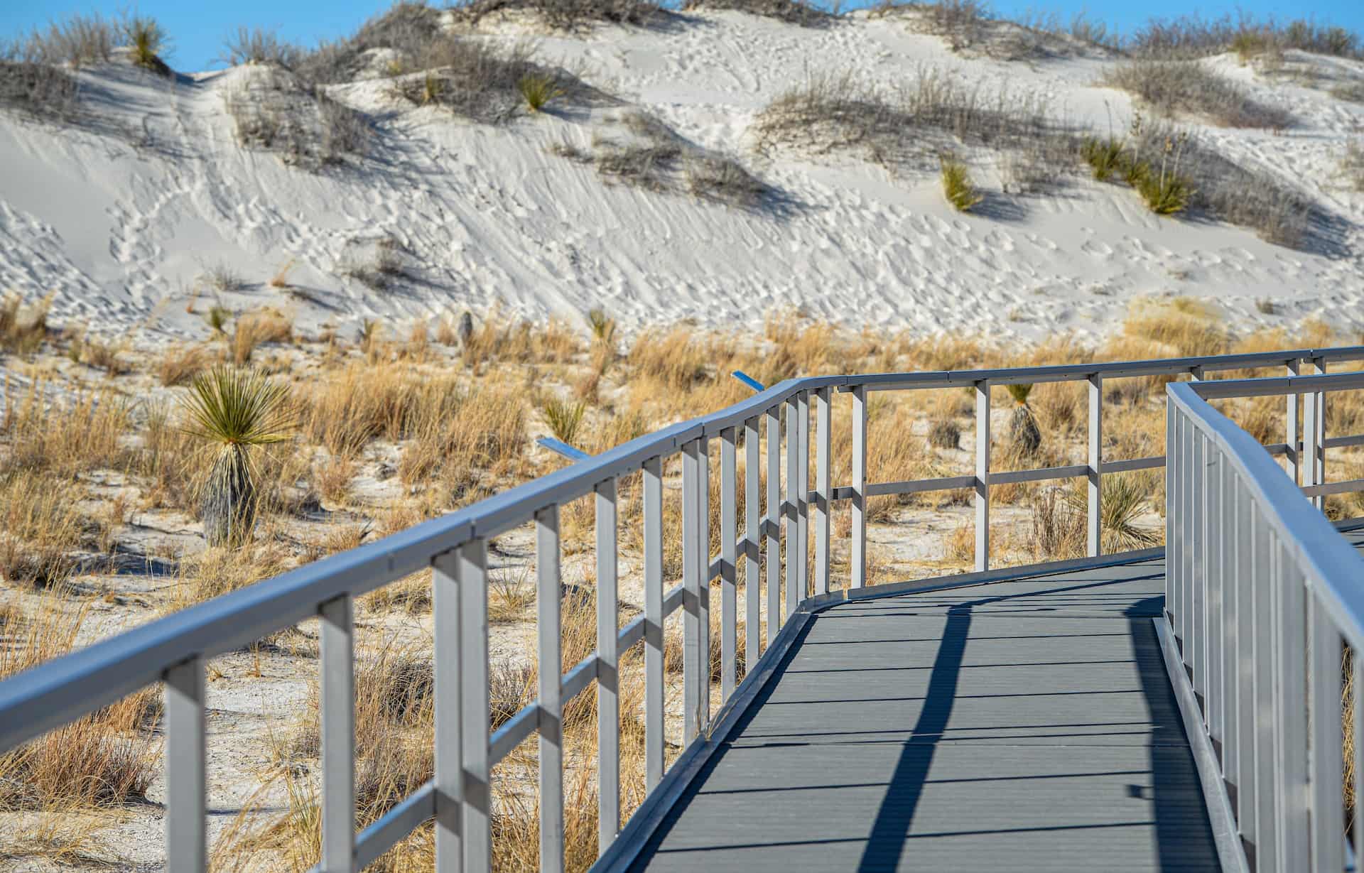 THE ESSENTIAL GUIDE TO WHITE SANDS NATIONAL PARK visual data 2