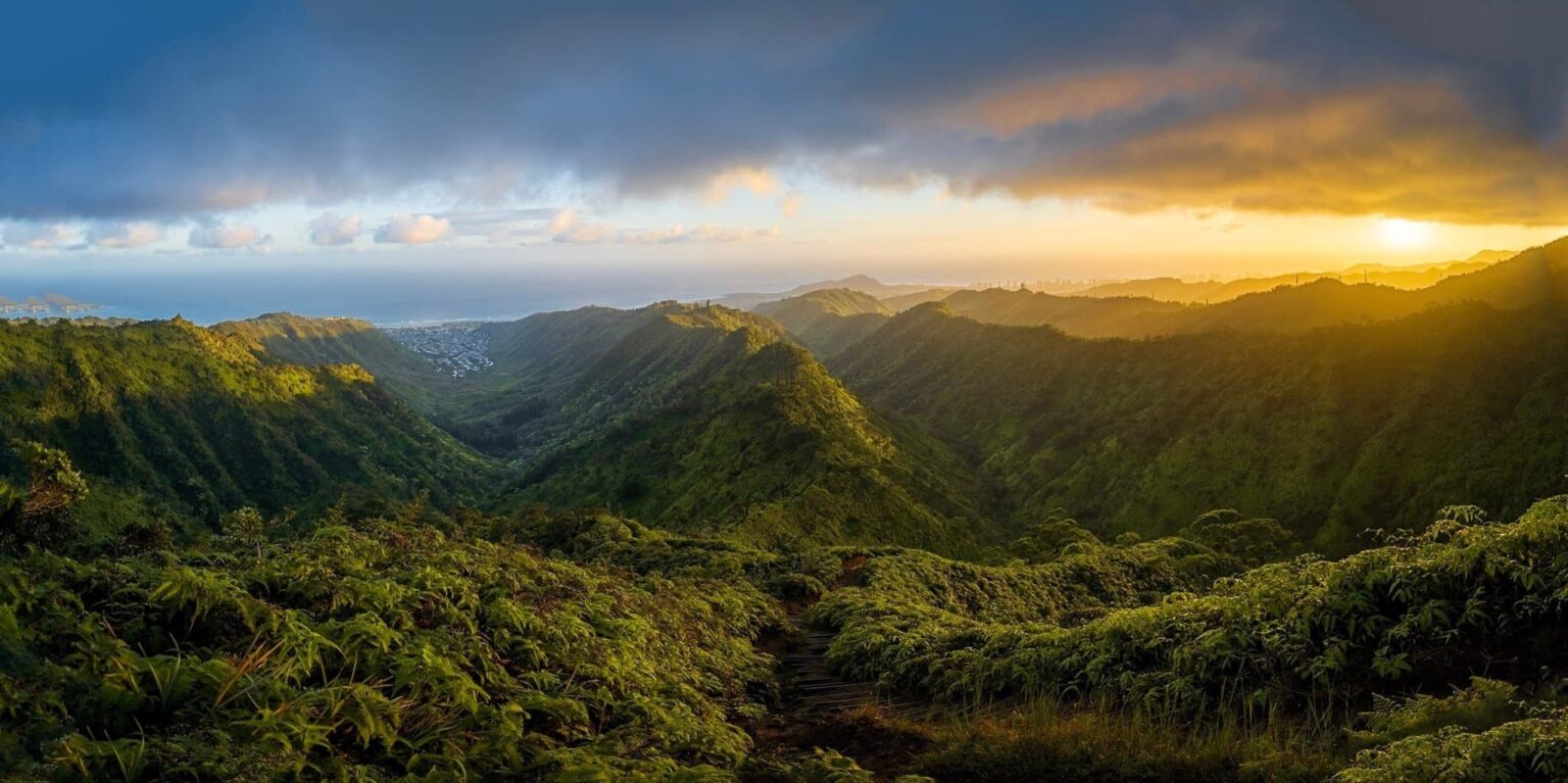 Wiliwilinui Ridge Trail Oahu's Best Hike Uprooted Traveler