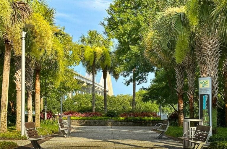 Winter in South Carolina 10 Incredible Destinations in the Palmetto